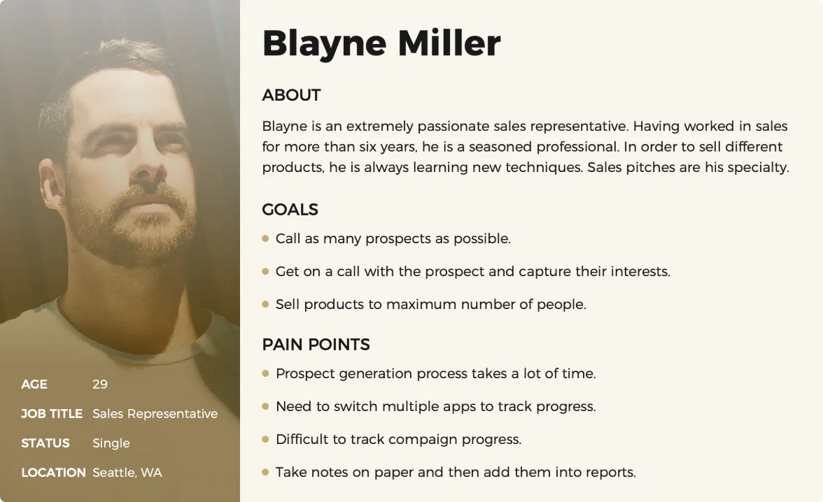 Persona: Blayne Miller, 29, sales representative in Seattle — goals and pain points