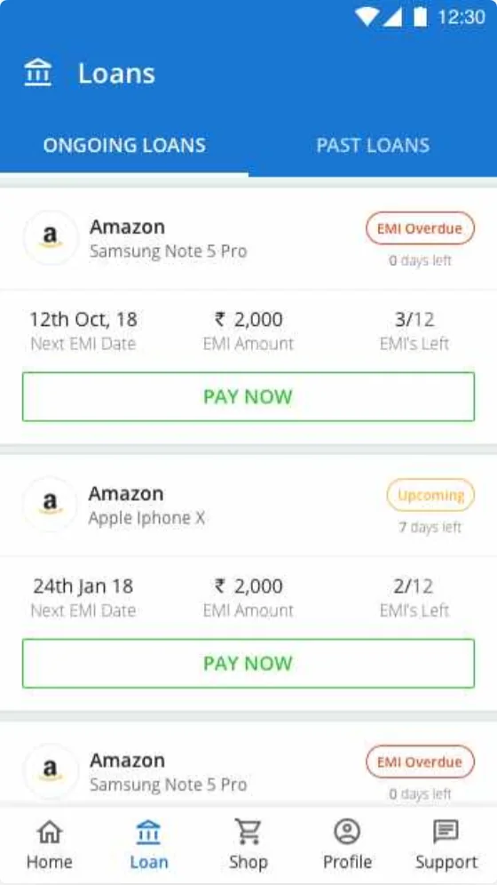Ongoing loans list with EMI due dates