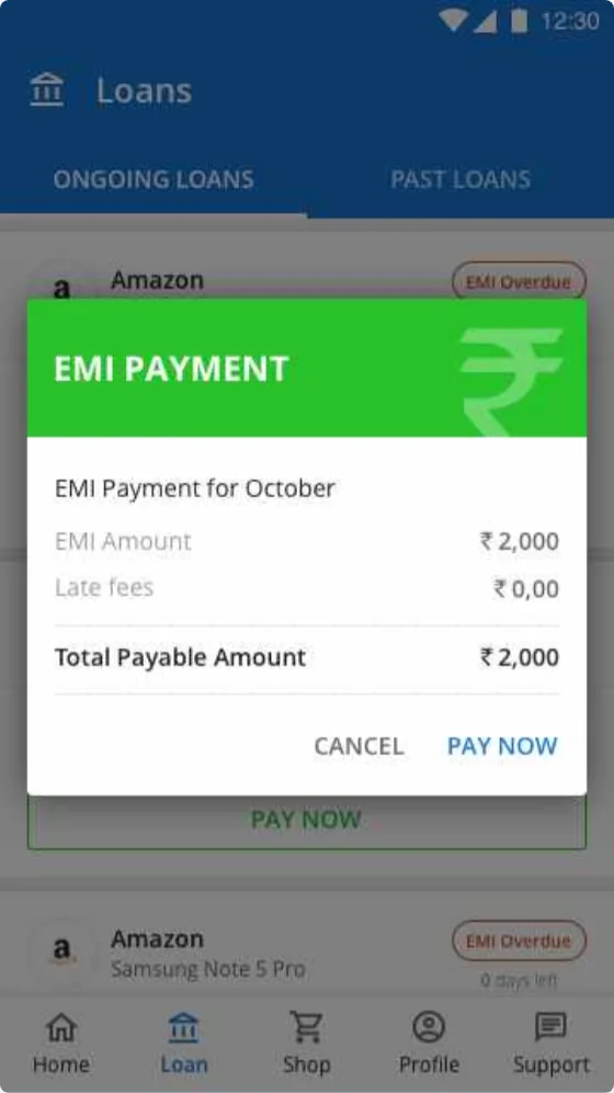 EMI payment summary dialog